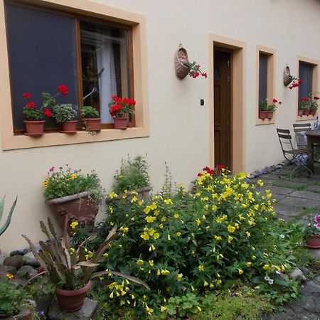 Casa Lia Hotel Sighisoara Luaran gambar