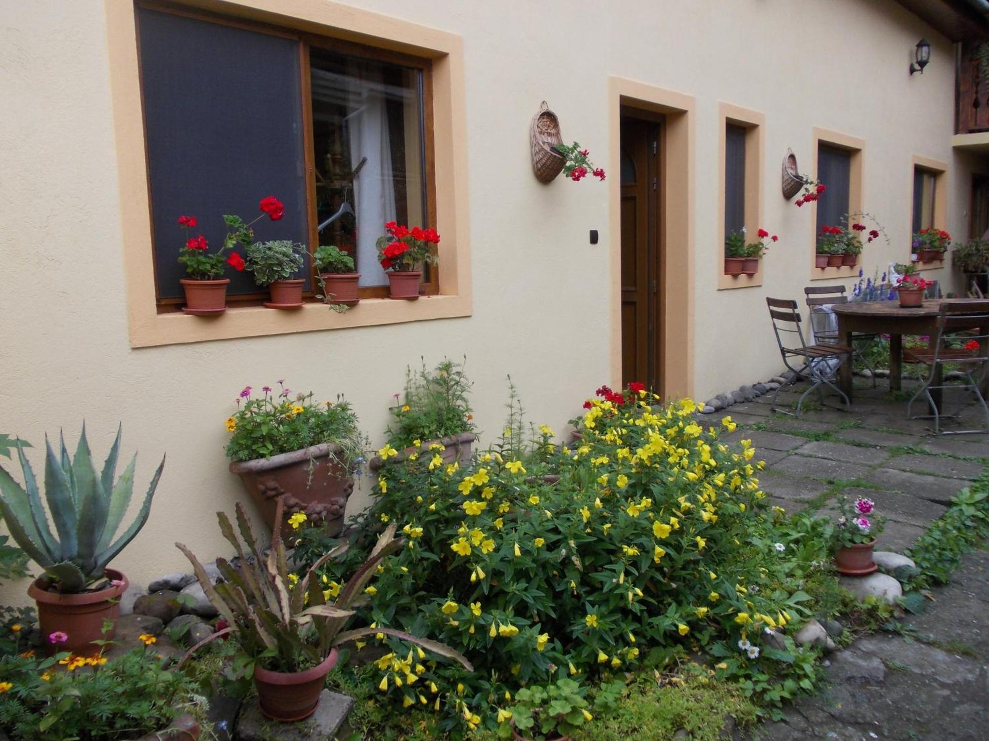 Casa Lia Hotel Sighisoara Luaran gambar